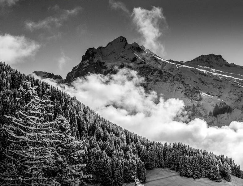 Foto: Martin Brunner Foto: Martin Brunner